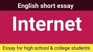 Essay on Internet