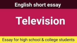 Essay on Television