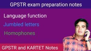 Homophone and language function