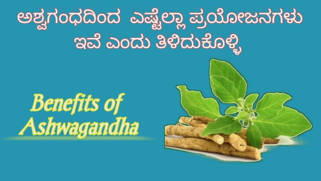 Benefits of Ashwagandha in Kannada