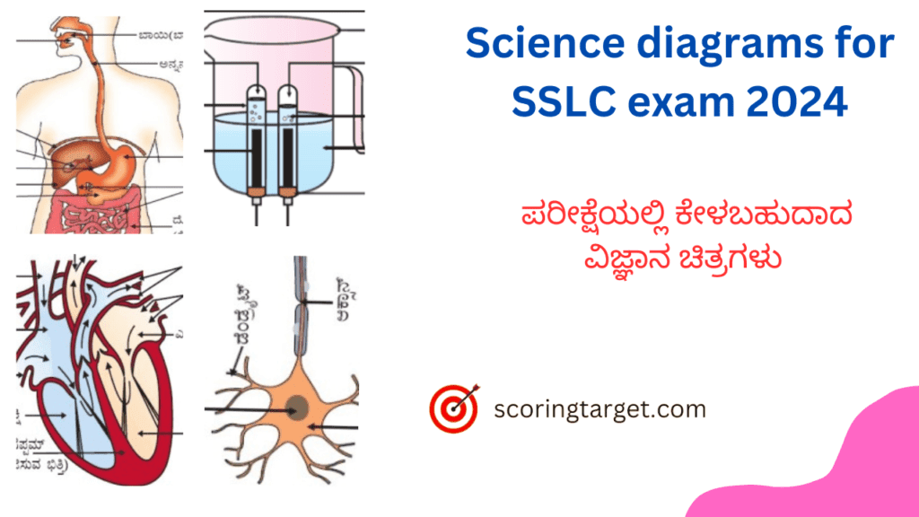 Science diagrams for SSLC exam 2024
