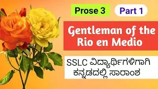 Gentleman of Rio en Medio (Summary)
