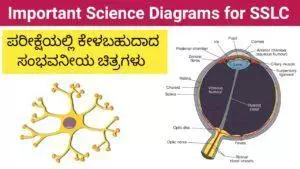 Important Science diagrams for SSLC exam