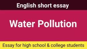 Essay on Water Pollution