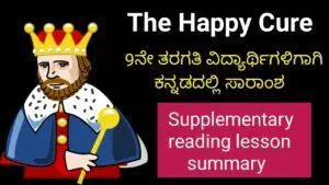 The Happy Cure summary