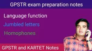Homophone and language function