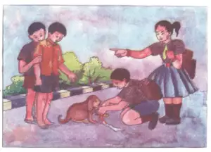 look at the picture and write