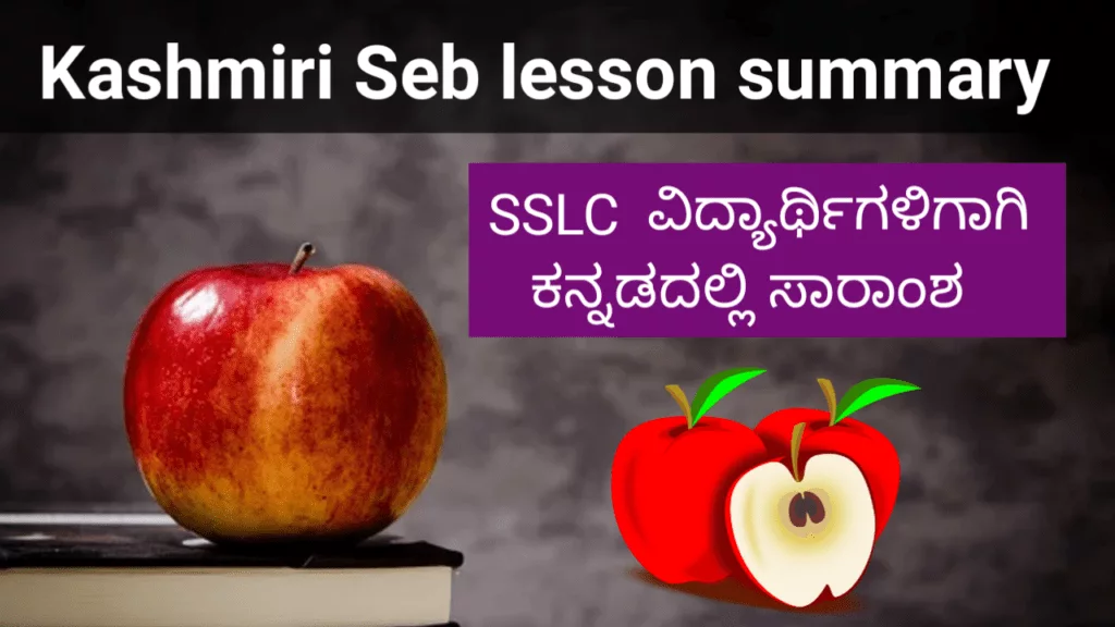 Kashmiri Seb summary