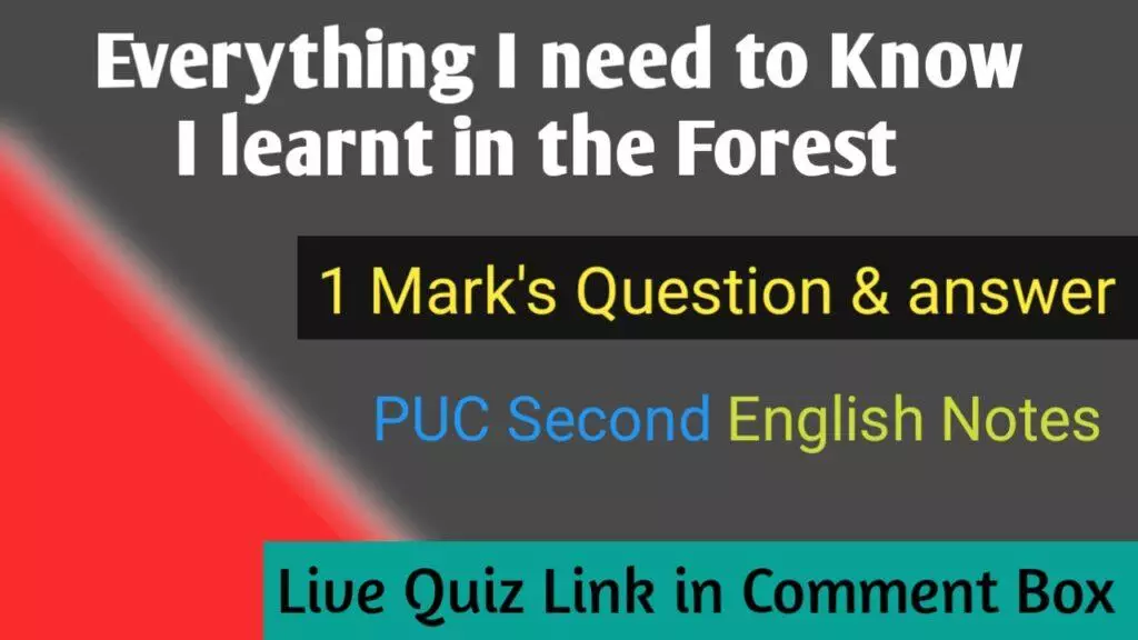 Everything I Need To Know I Learned In The Forest lesson notes