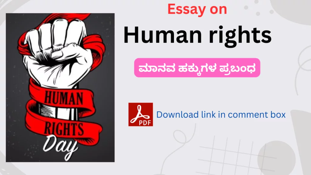 Essay on Human rights